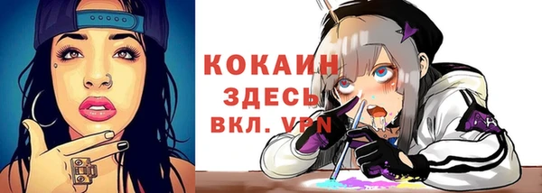 стафф Алзамай