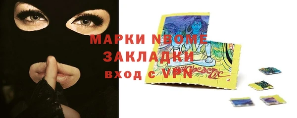 стафф Алексин