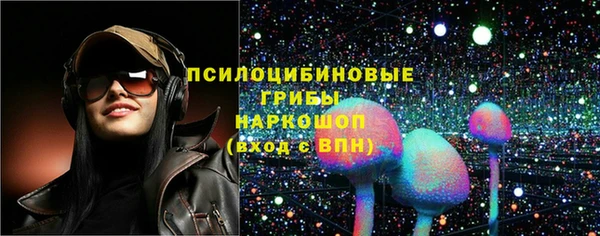 стафф Алексин