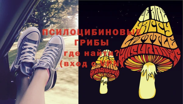 стафф Алексин