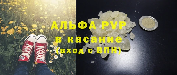 стафф Алзамай